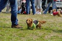 picnic_land_D-0006.jpg