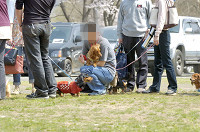 picnic_land_D-0008.jpg