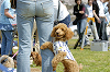 picnic_land_D-0009_thumb.png