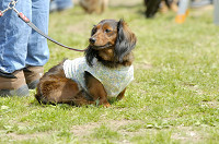 picnic_land_D-0013.jpg