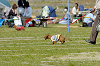 picnic_land_D-0016_thumb.png