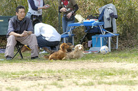 picnic_land_D-0017.jpg