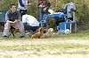 picnic_land_D-0017_thumb.png