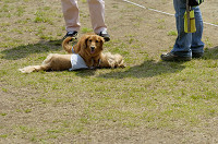 picnic_land_D-0018.jpg