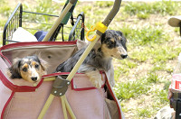 picnic_land_D-0019.jpg