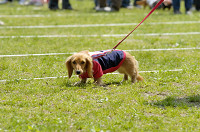 picnic_land_D-0022.jpg