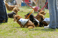 picnic_land_D-0024.jpg