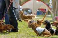 picnic_land_D-0025.jpg