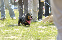 picnic_land_D-0026.jpg