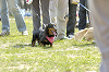 picnic_land_D-0026_thumb.png