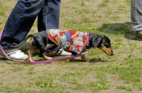 picnic_land_D-0030.jpg