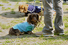 picnic_land_D-0033_thumb.png