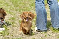 picnic_land_D-0034.jpg