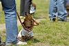 picnic_land_D-0035_thumb.png