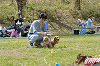 picnic_land_D-0039_thumb.png