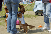 picnic_land_D-0041.jpg