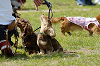 picnic_land_D-0042_thumb.png