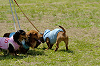 picnic_land_D-0043_thumb.png