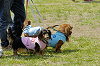 picnic_land_D-0044_thumb.png
