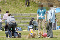 picnic_land_D-0046.jpg