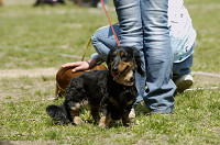 picnic_land_D-0047.jpg