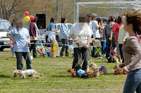 picnic_land_D-0050.jpg