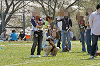 picnic_land_D-0053_thumb.png