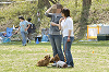 picnic_land_D-0054_thumb.png