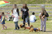 picnic_land_D-0056.jpg
