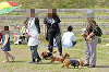 picnic_land_D-0056_thumb.png