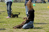 picnic_land_D-0058.jpg