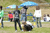 picnic_land_D-0060_thumb.png