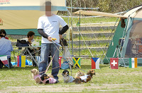 picnic_land_D-0061.jpg