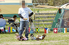 picnic_land_D-0061_thumb.png