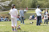 picnic_land_D-0062.jpg