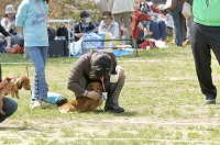 picnic_land_D-0065.jpg