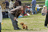 picnic_land_D-0066_thumb.png