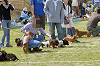 picnic_land_D-0067_thumb.png