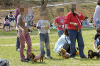 picnic_land_D-0068.jpg