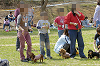 picnic_land_D-0068_thumb.png
