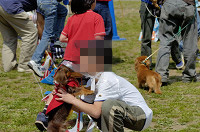 picnic_land_D-0069.jpg