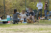 picnic_land_D-0071_thumb.png