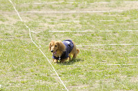 picnic_land_D-0072.jpg