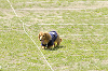 picnic_land_D-0072_thumb.png