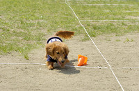 picnic_land_D-0073.jpg