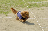 picnic_land_D-0074.jpg