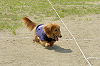 picnic_land_D-0074_thumb.png