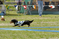 picnic_land_D-0081.jpg