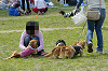 picnic_land_D-0085_thumb.png