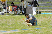 picnic_land_D-0091.jpg